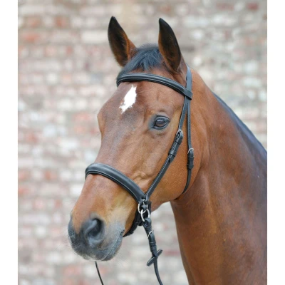 Afbeelding van Star Bitloos Hoofdstel Zwart Cob