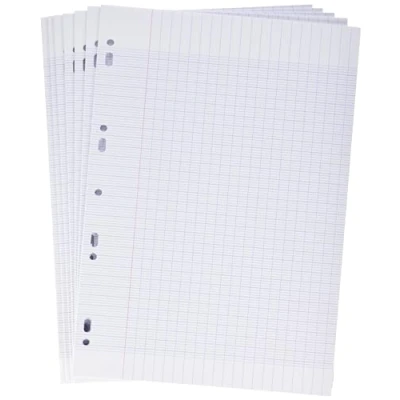 Image de Clairefontaine 14711C Un Paquet de Copies Doubles Perforées sous Film A4 21x29,7 cm 300 Pages Grands Carreaux Papier Blanc 90 g