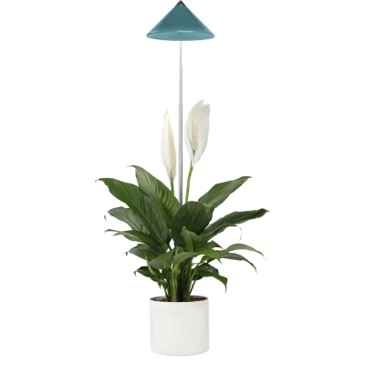 Afbeelding van Venso LED plantenlamp groei SUNLiTE 7 W Petrol 230 V vast ingebouwd 1 stuk(s)