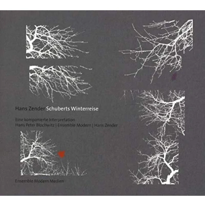 Afbeelding van Hans Peter Blochwitz Ensemble Moder Schuberts Winterreise (2 CD)