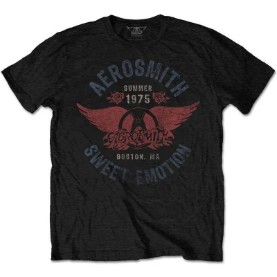 Afbeelding van Aerosmith Sweet Emotion Heren T shirt 2XL Zwart