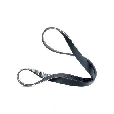 Afbeelding van Poly V riem DAYCO 6PK1069