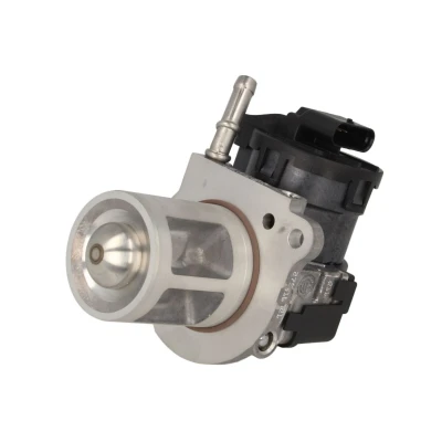 Afbeelding van Wahler EGR klep 710095D