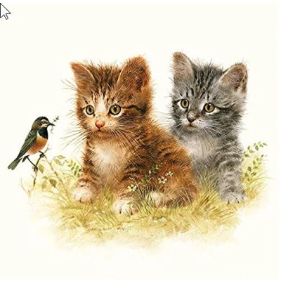 Afbeelding van Set van 20 servetten voor dierenliefhebbers 33 x cm