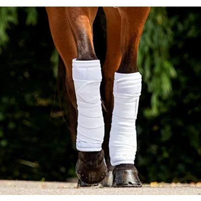 Image de HB Ruitersport Sous Bandes Blanc One Size