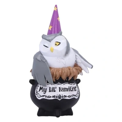 Afbeelding van Nemesis Now My Lil Familiar Alden 11.5cm Beeld/figuur Multicolours