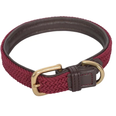 Image de Weatherbeeta Collier pour Chien Cuir Marron XL