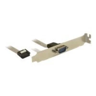 Image de DeLOCK Slot Bracket &gt; 1 x Serial panneau série 40 cm