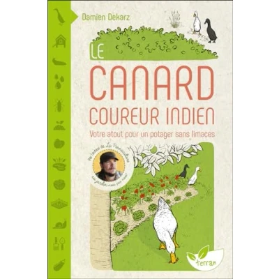 Afbeelding van LE CANARD COUREUR INDIEN VOTRE ATOUT POUR UN POTAGER SANS