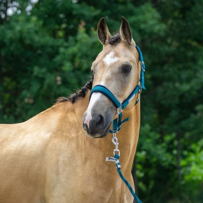 Afbeelding van horka HALSTER SET CLASSIC DELIGHT Cob Blauw Groen