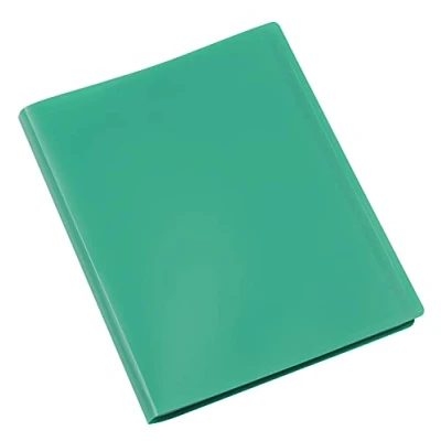 Afbeelding van Viquel ordner 100 zijden, A4, polypropyleen, groen