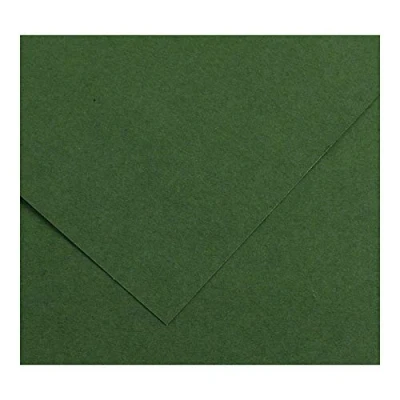 Afbeelding van Fiches Iris Amazon Groen 50 x 65 cm