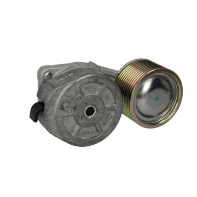 Afbeelding van DAYCO APV2733 Riemspanner