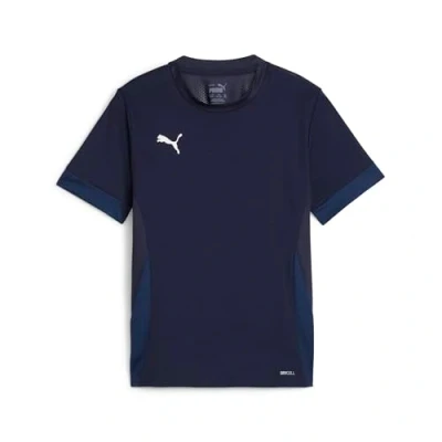 Afbeelding van Puma Teamgoal Matchday Jersey J