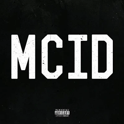 Afbeelding van Highly Suspect McId (2 LPs)