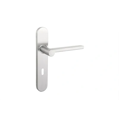 Afbeelding van Lavuzo deurkruk Caserta RVS met afgerond schild SL72 Per set Deurklink