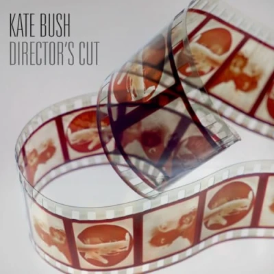 Afbeelding van Directors Cut