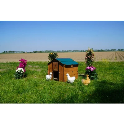 Afbeelding van Kippenhok Polly Farm Mignon