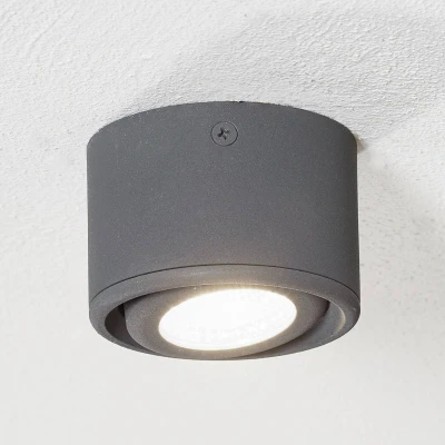 Afbeelding van Kantelbare kop LED downlight Anzio, antraciet
