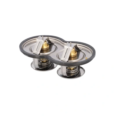 Afbeelding van Febi Bilstein Thermostaat 10054