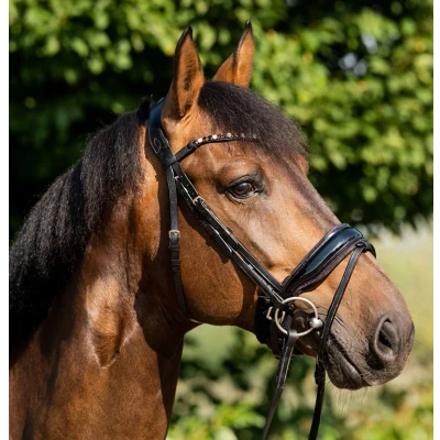 Image de HB Showtime Bridle Evalira