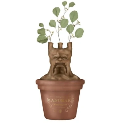 Afbeelding van Harry Potter: Tabletop Vase Mandrake