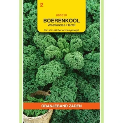 Afbeelding van Boerenkool Westlandse Herfst (laat type)