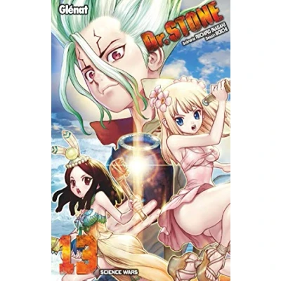 Afbeelding van DR STONE T13