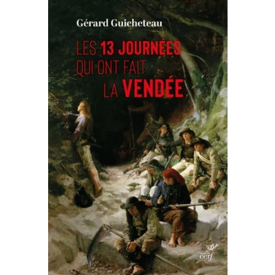 Image de 13 jours qui ont fait la vendee