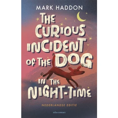 Image de the curious incident of dog in night time