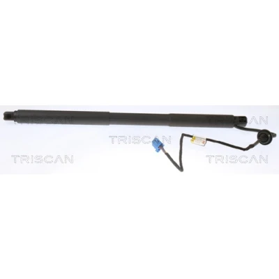 Afbeelding van TRISCAN 8710 23304 Gasveer achterklep 622mm