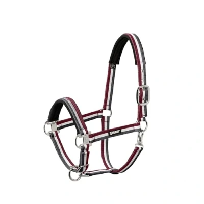 Image de Eskadron Halter pin buckle