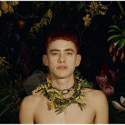 Afbeelding van Palo Santo