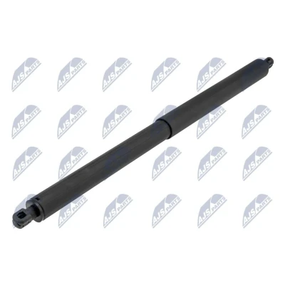 Afbeelding van NTY AE BM 097 Gasveer achterklep Links achter