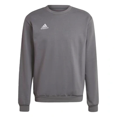 Image de adidas Homme Entrada 22 Sweatshirt, Team Grey Four, L
