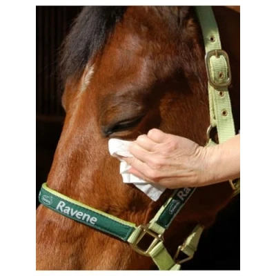 Afbeelding van Ravene Easy Shine Doekjes