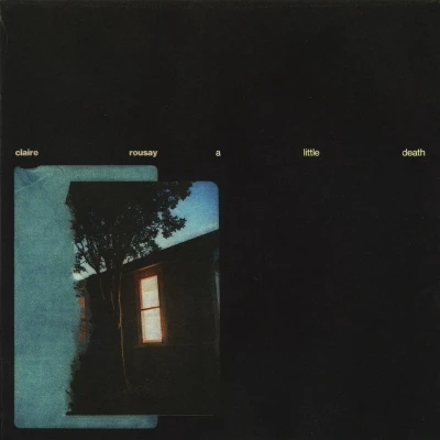 Afbeelding van Claire Rousay A Little Death (LP)