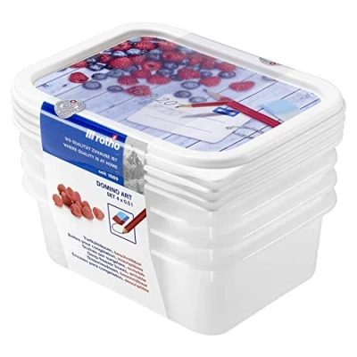 Afbeelding van Rotho vriezer DOMINO 0,5 liter motief 500 ml