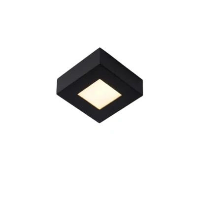 Afbeelding van Lucide BRICE LED Plafonnière Badkamer Dimb