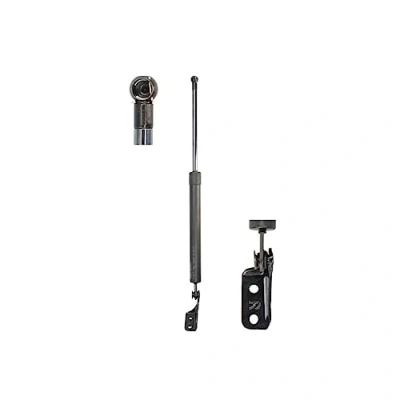 Afbeelding van LESJÖFORS 8162064 Gasveer achterklep Rechts achter