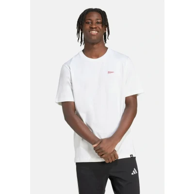 Afbeelding van adidas Sportswear T shirt Graphic Vlag Heren Wit XS
