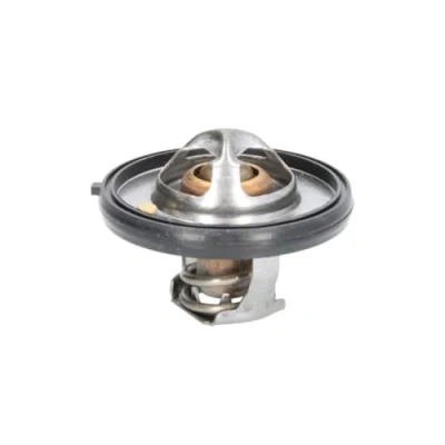 Afbeelding van MOTORAD 420 91K Thermostaat, koelvloeistof 91 54 Met pakking JEEP: Cherokee III