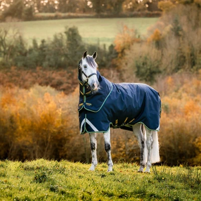 Afbeelding van Rambo Turnout Duo Force 2.0 Navy/Teal 155/206