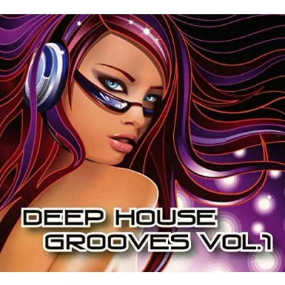 Afbeelding van Various Artists Deep House Grooves Vol.1 (2 CD)