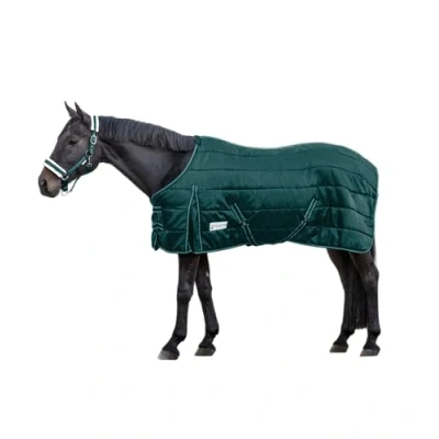 Afbeelding van Waldhausen Staldeken Economic 100g Spar Groen 155/205
