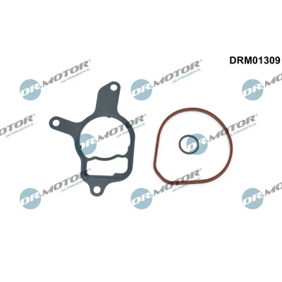 Afbeelding van Pakkingset, onderdrukpomp Dr.Motor Automotive DRM01309
