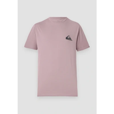 Afbeelding van Quiksilver Ev Mini Logo Ss T shirt voor heren (1 stuk)