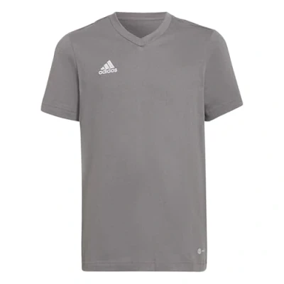 Afbeelding van adidas Performance Entrada Tshirt basic Team grey voor kinderen, Maat: 128,