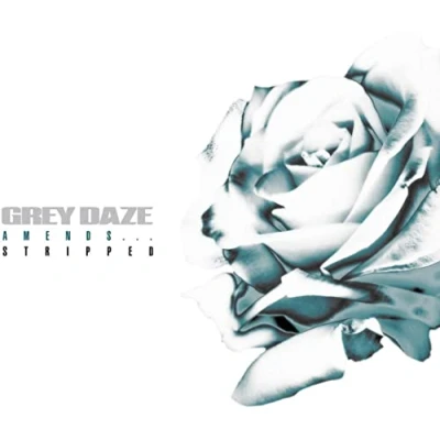 Afbeelding van Grey Daze Amends...Stripped (LP)
