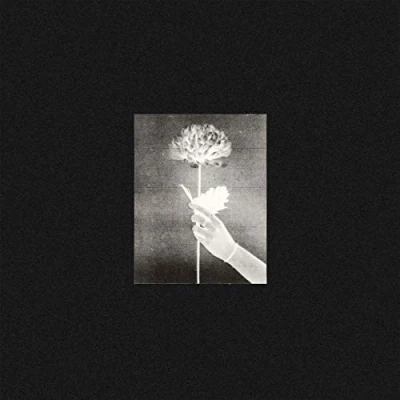Afbeelding van White Flowers Day By (CD)